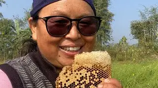 Amamaamamama local mauriko maha nikalne tarika | local honey bee churururu maha 