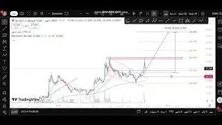 القناة للتوكيلات الملاحية.CSAG