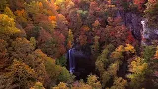 Autumn Leaves in Japan 🍁 Calm Ambient Music for Relaxation, Study, Sleep & Stress Relief