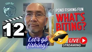 Urban Pond Fishing Ultralight Baitcasting This Time! #Mobile #Fishing #Livestream