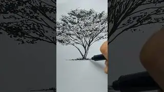 How to sketch a Tree with a Pen #armadaliuart #urbansketch #treedrawing #ink #scketches #scketching