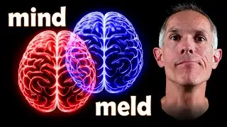 Minds and melds in Open Web Mind