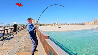 I Caught a Wintertime Dream Fish from the Gulf Pier! *New PB*