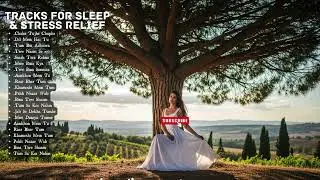 Top 5 Italian Coastal Chill Tracks for Instant Calm