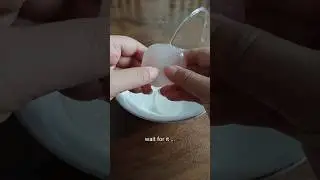 have you tried squirting fruit - buah lontar (toddy palm/ice apple) | fruit of Indonesia