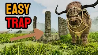 Easy Trap f&uuml;r Bison | Ark Survival Ascended Deutsch