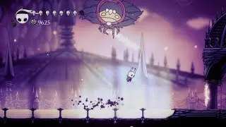 Hollow Knight