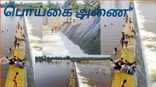 💥poigai Check Dam | Vellore பாலாறு ஆற்றின் குறுக்கே | சோதனை அணை...💢⁉️