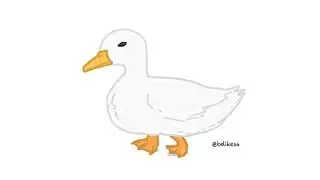 Duck Walking Animation