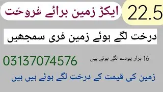 22.5acres land cheap agricultural sale| investment for overseas invester 03137074576