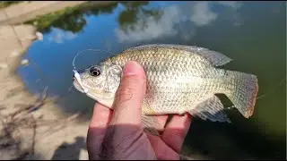 פתיחת עונת הדיג ל 2025 XUL באגם הנקיק 🎣Fishing season at Lake Ha-Nakik Lake HE/EN Subs