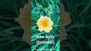 Vibe Note - Stillness