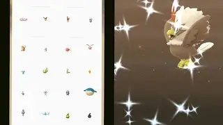 Hatching Shiny Rufflet- Easter 2021 Special 2 km egg