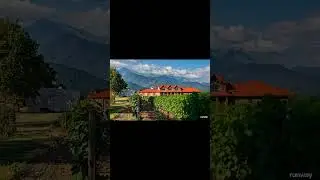 იყიდება მოქმედი ღვინის ქარხანა, მარანი შილდაში. ❤