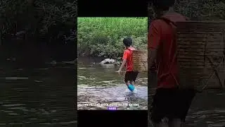 Creative DIY Fish Trap! #shorts  #fishingthrills #epiccatches