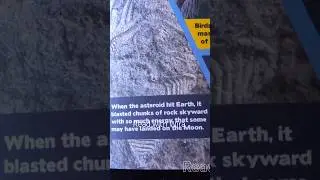 What happened when the asteroid hit Earth billions of years ago? #wethemoons #readwithwira