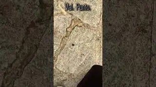 Vai. Punto. #edit #love #youtubeshorts #motivation #memes #humor