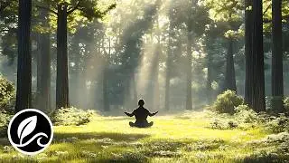 Peaceful Meditation Music for Inner Peace, Mindfulness & Relaxation Inner Peace Calm the Mind & Body