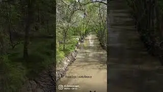 Bayou moments.