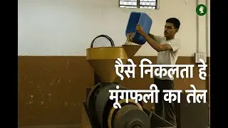 2000 Kg Daily Making Pure groundnut/peanut Oil Mega Factory Rs. 210/- Per ltr l Rajasthan special