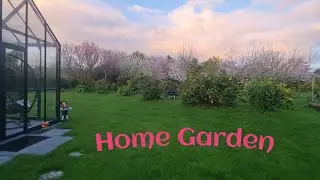 Beautiful Home Garden, Dreamlike Scenery