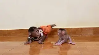 Hilarious Pavpav Playing Hard Till Nb Baby Anqry Him