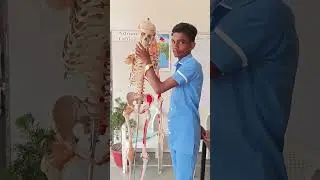 Skeleton system parts 〽️ name 😇