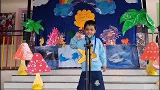 Drama- The harmit crab🦀 in podar school (31-7-25)