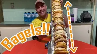 Bagel Trough| Delicious Bagel Challenge