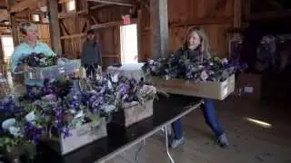 Beautiful Days Event Planning - Floral and Event Design (Behind The Scenes)