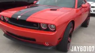 stuntfest 2014