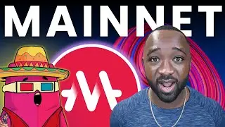 MELD Mainnet Launch & New Liquidity Incoming - NFTs & MEMES Heat Up!