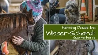 KURS WESTERWALD | Niedersayn | Wisser-Schardt-Quarterhorse | FEB 2018