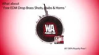 FREE EDM Drop Stabs, Brass Shots & Horns - [ Free Download, Samples, Sounds ] (W. A. Production)
