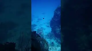 Arco Point at Bohol
