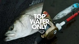 【トップウォーター】ヘドンの名作ペンシルで清流シーバスを狙う【リバーシーバス】