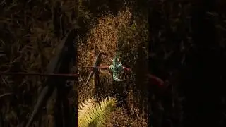DOUBLE KILL - Is Herrera's hitbox too big?