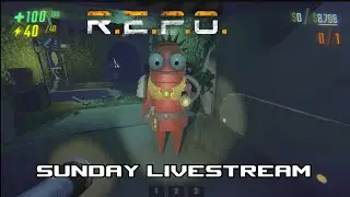 Sunday REPO