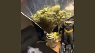 Lets get fucked up