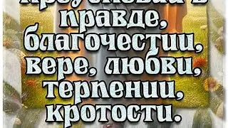 #SolaAmore 🔴Утро 2025.12.29 #АрхиепископСергейЖуравлев #Обновленец #ЯиОтецОдно #ПапочкаБог #Авва #ХВ