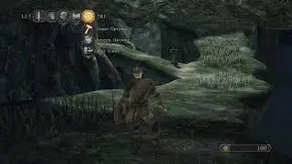 Deathless / no bonfire run ds2