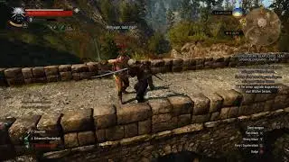 Witcher 3 - With vigour
