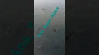🇮🇳🇮🇳❤️Ana Sagar Ajmer fishing 🐠 🐠🐠🐠￼