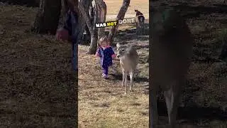 She was cooked by this deer in a shocking way 😅