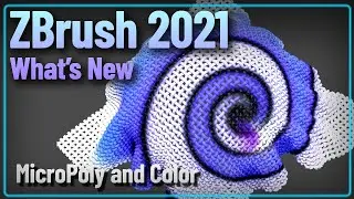 043 ZBrush 2021 MicroPoly and Polypaint Color