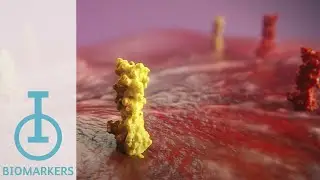 IOU Youtube: IO biomarkers under investigation for their role in immunotherapy