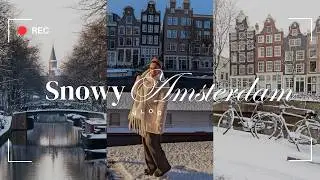 Rare Snowy Amsterdam: A Peaceful Winter Scene