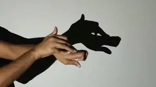 Hand Shadow Puppet Tutorial | Handicraft