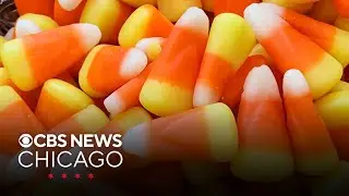 5 ways to cut down on your sugar intake, according to experts