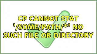 cp: cannot stat '/some/path/\*': No such file or directory